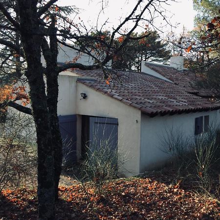 La maison de Mado et sa cabane dans les arbres Plan d'Aups Extérieur photo