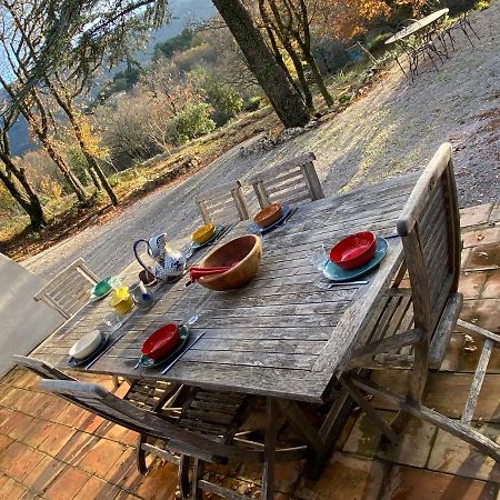La maison de Mado et sa cabane dans les arbres Plan d'Aups Extérieur photo