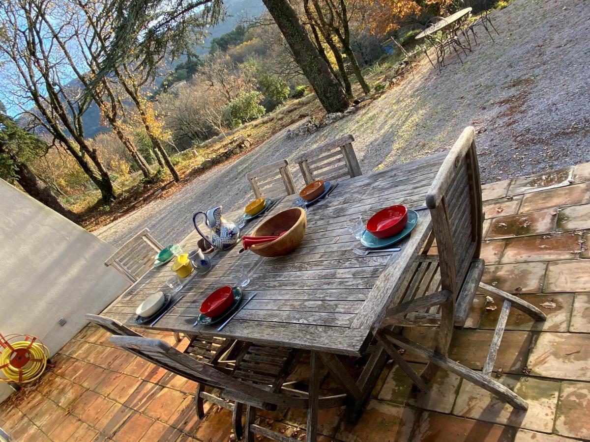La maison de Mado et sa cabane dans les arbres Plan d'Aups Extérieur photo