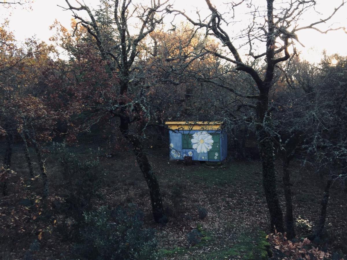 La maison de Mado et sa cabane dans les arbres Plan d'Aups Extérieur photo
